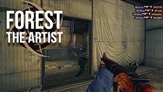 CSGO Fragmovie f0rest  The Artist 2017 [upl. by Esyahc]