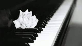 Chopin  Nocturne Op 9 n 2 Maurizio Pollini [upl. by Thurston]