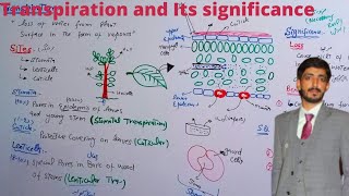 Transpiration and its significance  Biology 9th  Chapter 9 Transport [upl. by Animor69]