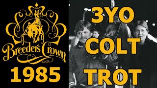 1985 Breeders Crown  Prakas  3YO Colt Trot [upl. by Sedgewick]