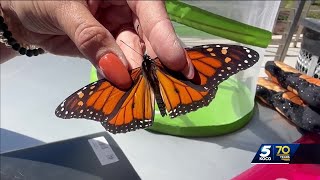 Upcoming activities highlight monarch butterfly migration season [upl. by Coniah]