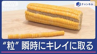 とうもろこし“粒”を瞬時に簡単キレイに取る方法 スプーン一本でスグ！どうやるの？【スーパーJチャンネル】2024年6月10日 [upl. by Leva]