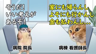 入院費を払わない患者に病院がとった異次元の解決策とは【猫ミーム】【猫マニ】 [upl. by Deutsch594]