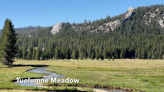 Yosemite National Park Tenaya Lake amp Tuolumne Meadow [upl. by Enehs]