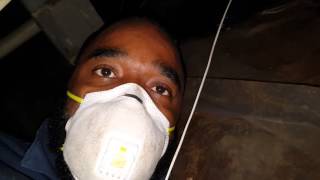 Do It Yourself Mold Remediation [upl. by Bellanca]