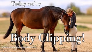 Body Clipping My Jumper  Grooming Tips Tricks amp More [upl. by Danete]