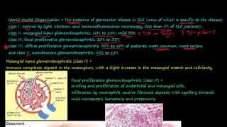 91P Morphology of Systemic lupus erythematosus SLE part 2 glomerular disease in SLE [upl. by Summons]