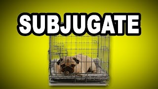 Learn English Words SUBJUGATE  Meaning Vocabulary with Pictures and Examples [upl. by Mij]