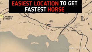 Perfect Location To Get Silver Dapple Pinto Horse Easily In 2 Minutes  RDR2 [upl. by Irihs]