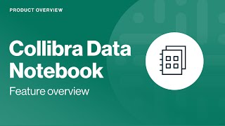 Collibra Data Notebook feature overview [upl. by Marucci]