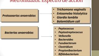 Agentes Antimicrobianos antianaeróbicos actualización [upl. by Eibber904]