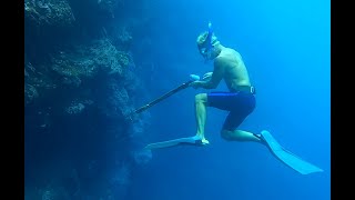 Spearfishing at Fatu Hiva [upl. by Colb959]