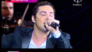 DAVID BISBAL HASTA EL FINAL  Argentina 2013 [upl. by Doralyn]