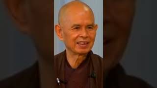 Your True Nature  Thich Nhat Hanh  Plum Village App Shorts [upl. by Thad]