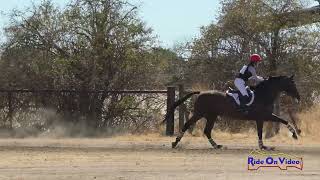 043XC Lauren Crabtree on Derroon Diamond CCI1 Short Cross Country Twin Rivers Ranch Sept 2024 [upl. by Mossberg433]