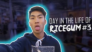 Day in a life with RiceGum Episode 3 TURKEY DAY BLACK FRIDAY RiceFlavoredGumRiceGum [upl. by Broadbent]