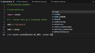 Creating a Simple Socket Server and Client in Python [upl. by Yllek]