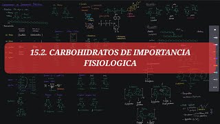 BQ 15 Glucósidos disacáridos y polisacáridos  Carbohidratos de Importancia Fisiologica Parte 02 [upl. by Pavyer348]