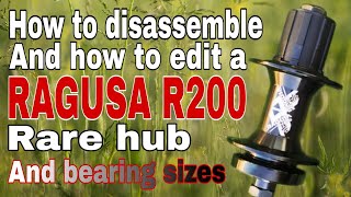 RAGUSA R200 How to disassemble and assemble a RAGUSA R200 rarehub and bearing sizes raidenworks [upl. by Nerrag205]