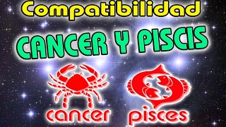 COMPATIBILIDAD CANCER PISCIS 2023  Piscis Y Cancer Comparten En El Amor 2023 [upl. by Halsy]