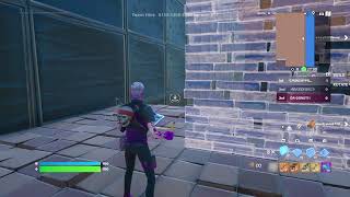 Playing new fortnite ft hockey dog6 [upl. by Anitsyrhc]