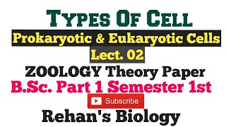 Two types of cells prokaryotic amp eukaryotic Rehans Biology BSc1 sem1st Zoology Theory [upl. by Iggie118]