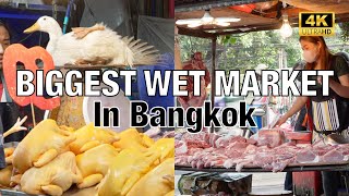 Biggest Wet market in Bangkok Khlong Toei Market WALKING TOUR [upl. by Neall579]