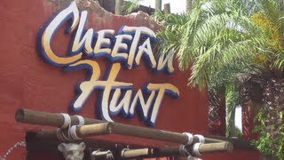 Cheetah Hunt Front Seat OnRide POV [upl. by Crandell]