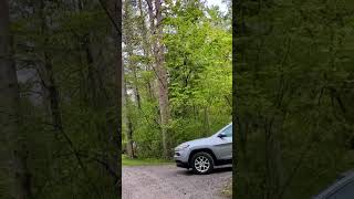 Part 1 area 400 of Letchworth State Park [upl. by Scrivings]