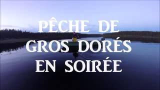 PÊCHE DE GROS DORÉS EN SOIRÉE RÉSERVOIR GOUIN CANADA [upl. by Lotus48]