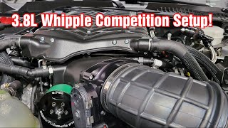 We Installed A 38L Whipple Supercharger On Our 2019 Mustang GT [upl. by Meelas]