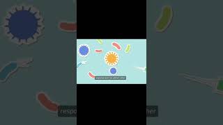 Cytokines in Innate Immune ResponseCytokinesInnate Immune Responseviralshorts shorts [upl. by Doria934]