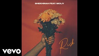 Shekhinah  Risk Official Audio ft Moliy [upl. by Eanyl]