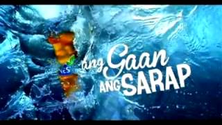 Coffee break island  Ang gaan Ang sarap mp3 download nestea 2012 [upl. by Roane]