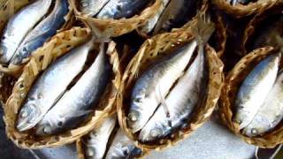 Walk Around Ho Chi Minh City Saigon Street Market Food Fish Seafood Vietnam  Phil in Bangkok [upl. by Amlet]