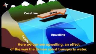 Hansen Ekmans Spiral and the effects of Ekman Transport [upl. by Eenafets]