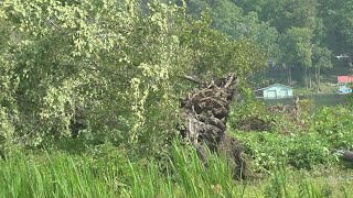 Microburst caused Marshall County damage  NWS [upl. by Uticas]