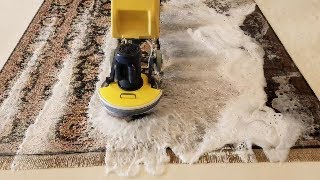 Expert Rug Washing in Indianapolis Indiana [upl. by Dorcus610]