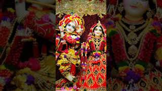 Giridhari Lal Nache Shyam Gopal Radha Rani Nache Diye tale Taal abnradhakrishna vandanam 🙏🙏 [upl. by Intyrb55]