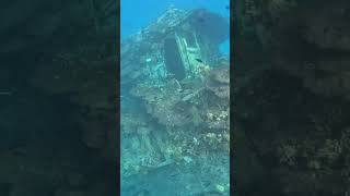 Snorkeling In The Maldives surftrip maldives turtle ocean vacation [upl. by Mariam831]