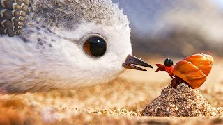 Piper 2016 Disney Pixar Animated Short Film  Review [upl. by Aimet]