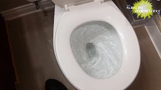 Toilet Leaking From Handle Improving Flush Power Major Blooper In The End [upl. by Lita593]