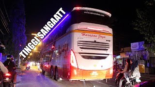 AKHIRNYA RILIS JUGA GANTENG MAKSIMAL SR 2 Double Decker Laksana Harapan Jaya [upl. by Klatt928]