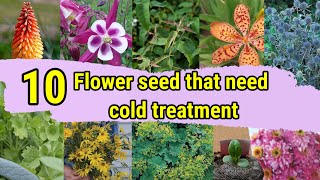 10 Flower seed that need COLD STRATIFICATION  Paper towel method [upl. by Suoirad]