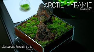 Arctic Pyramid  Terrarium Build Process with Utricularia Graminifolia [upl. by Mitchell]