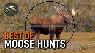 20 Moose Hunts in 20 Minutes ULTIMATE Moose Hunting Compilation  BEST OF [upl. by Rasure]