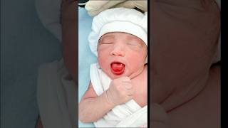 Cutebaby girl😍baby cutebaby shorts shortsfeed song rap newsong newborn babyshorts shorts [upl. by Disraeli191]