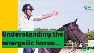 Understanding an energetic horse [upl. by Manheim306]