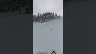 Watch for Avalanche avalanche polarissnow snowmobile educateyourself winter snow avy [upl. by Toll]