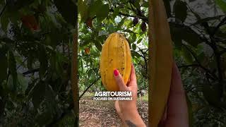 Explained Agritourism and Why We Should All Be Doing It [upl. by Asssilem]